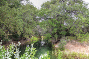 1432 acre ranch Medina County image 21