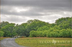 1432 acre ranch Medina County image 25