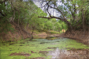 1432 acre ranch Medina County image 26