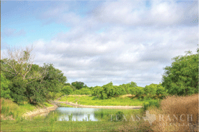 1432 acre ranch Medina County image 27