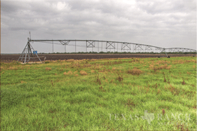 1432 acre ranch Medina County image 28