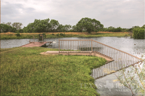 1432 acre ranch Medina County image 5
