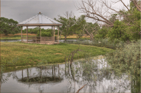 1432 acre ranch Medina County image 7