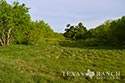 1557 acre ranch Medina County image 13