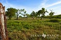 1557 acre ranch Medina County image 47