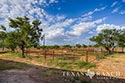 1557 acre ranch Medina County image 57