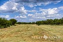 1557 acre ranch Medina County image 61