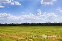 1557 acre ranch Medina County image 66