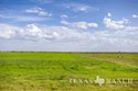 1557 acre ranch Medina County image 83