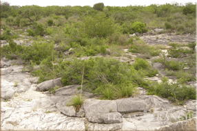 ranch real estate sale, 157 acres slideshow