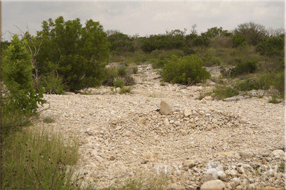 ranch real estate sale, 157 acres, image 
