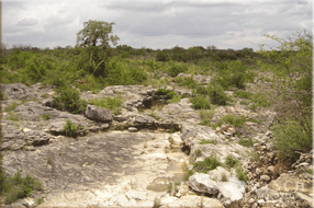 ranch real estate sale, 157 acres, image 