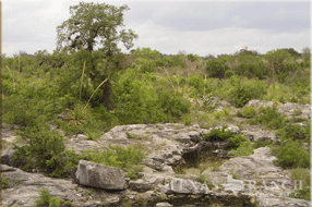 ranch real estate sale, 157 acres, image 