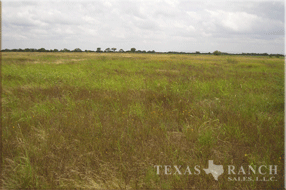 ranch real estate sale, 157 acres, image 