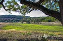 159 acre ranch Bandera County image 40