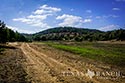 159 acre ranch Bandera County image 42