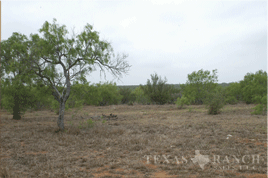 0 acres bandera county image 5