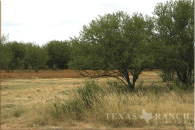 hunting ranch 1641 acres Kinney county