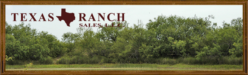 650 acres Blanco county