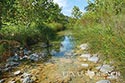 167 acre ranch Bandera County image 7