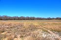 1761 acre ranch Zavala County image 24