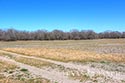 1761 acre ranch Zavala County image 25