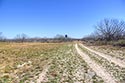 1761 acre ranch Zavala County image 26