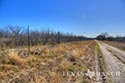 1761 acre ranch Zavala County image 28