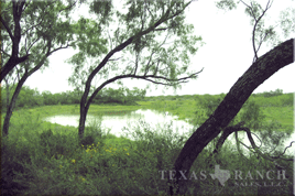 high fenced property 1770 acres, Dimmit county - image