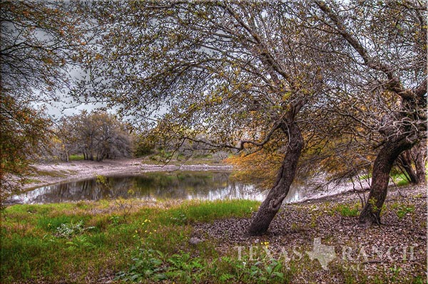 Medina County 181 Acre Ranch Image Gallery.