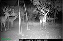181 acre ranch Medina County image 9