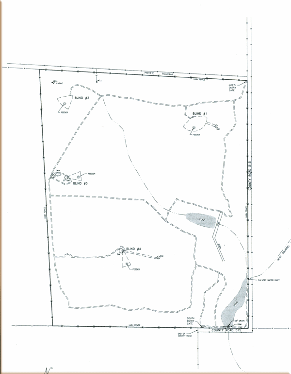 181 Acre Ranch Medina Topography Map