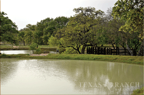  400 acre Ranch for sale image #19