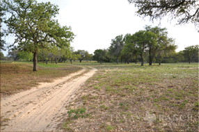  400 acre Ranch for sale image #2