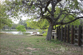  400 acre Ranch for sale image #20