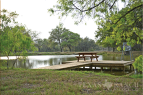  400 acre Ranch for sale image #22