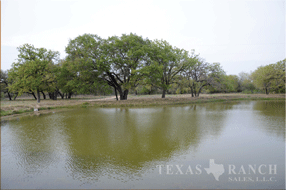  400 acre Ranch for sale image #23