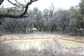  400 acre Ranch for sale image #24