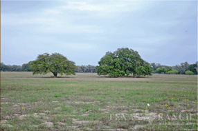  400 acre Ranch for sale image #25