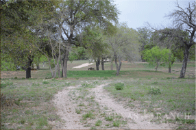  400 acre Ranch for sale image #27