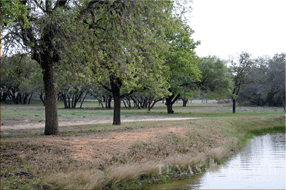  400 acre Ranch for sale image #3