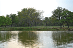  400 acre Ranch for sale image #4