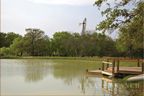  400 acre Ranch for sale image #6