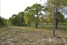  400 acre Ranch for sale image #7