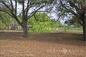  400 acre Ranch for sale image #8