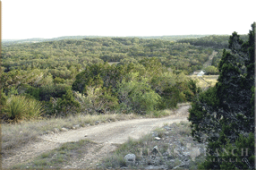 cattle ranch 188 acres, Medina county image
