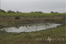 190 acres Duval county image 3