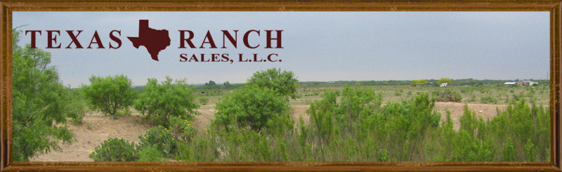 193 acres Zavala County