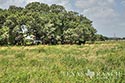 1943 acre ranch Jackson County image 37