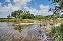 1943 acre ranch Jackson County image 44